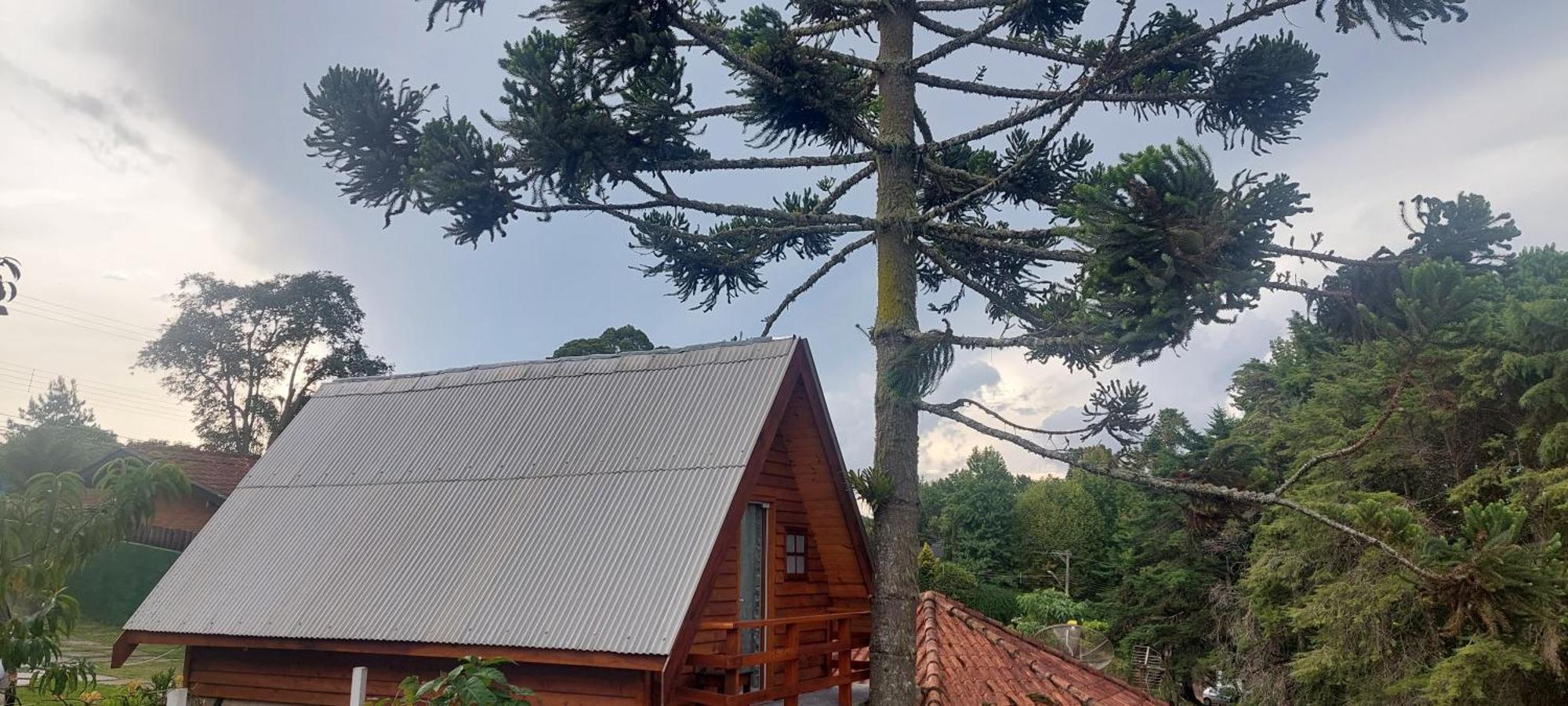 Chale Com Hidromassagem Da Vick Hotel Campos do Jordao Ngoại thất bức ảnh
